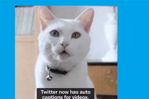 Twitter Adds Auto Captions for All Video Uploads in Tweets - Digital Marketing Journals Hong Kong - ..