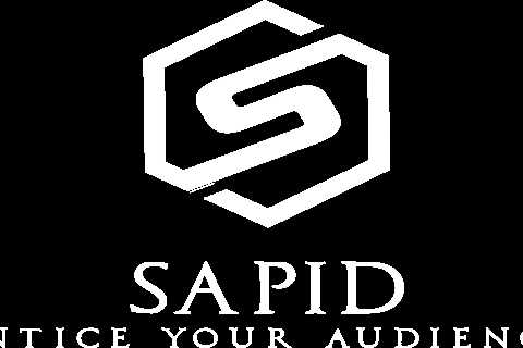 Technical SEO - SEO Company Services - Sapid SEO Company