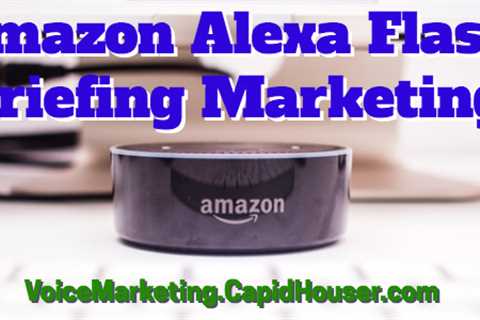 alexa flash briefing marketing - full service digital marketing agency