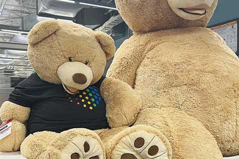 Stuffed Animal Bears At Google Office