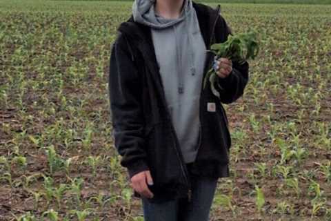 Home - luckeyfarmers.com