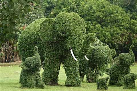 Heavy Content-Pruning Is a Bad Move for SEO (Usually)